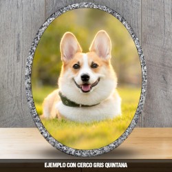 Placa Oval 3D Especial Mascotas