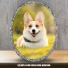 Placa Oval 3D Especial Mascotas