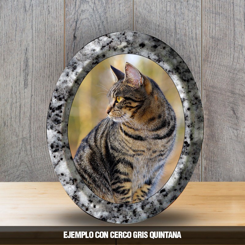 Placa Oval 3D Especial Mascotas