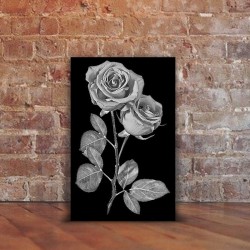 Grabados Láser de Imagen